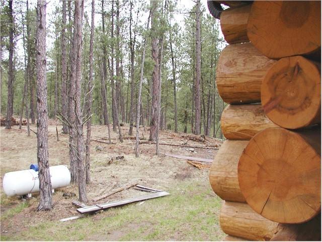 Trails End Lodge كاستر الغرفة الصورة